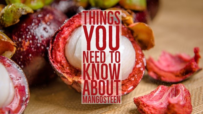 Things You Need To Know About Mangosteen