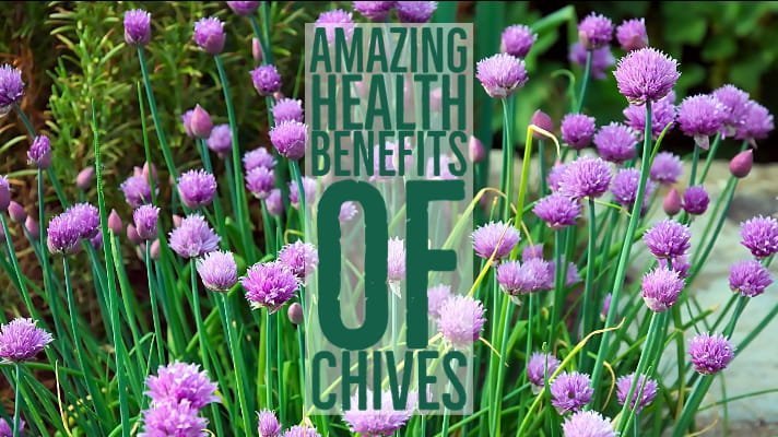 Amazing Health Benefits Chives