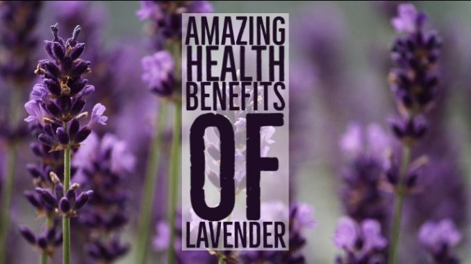 Amazing Health Benefits Lavender