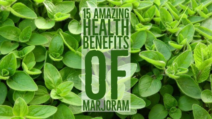 Amazing Health Benefits Marjoram