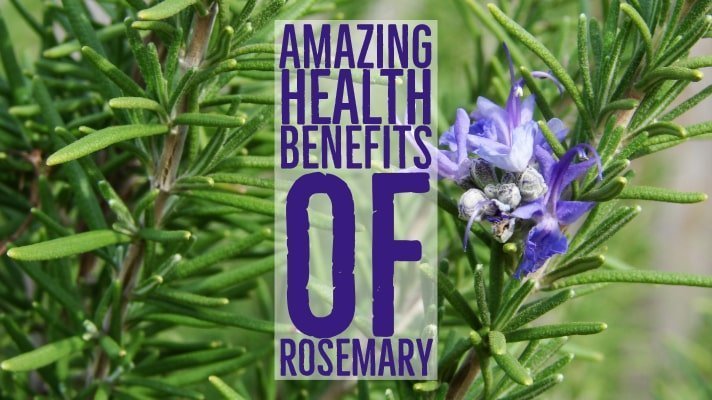 Amazing Health Benefits Rosemary