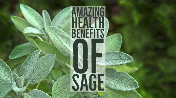 Amazing Health Benefits Sage