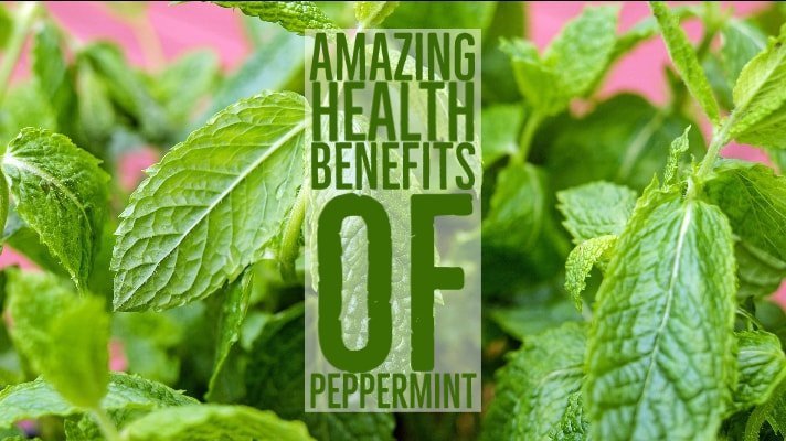 Amazing Health Benefits Peppermint