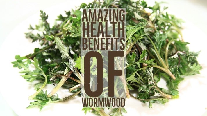 Amazing Health Benefits Wormwood