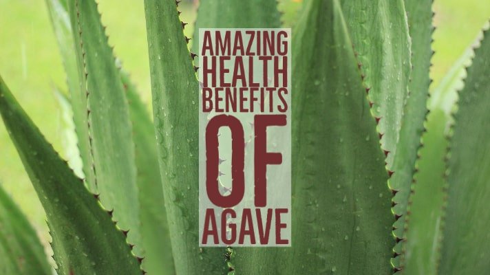 Amazing Health Benefits Agave