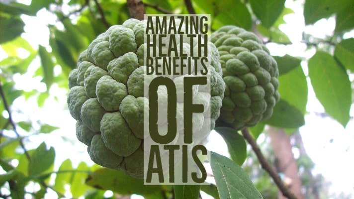 Amazing Health Benefits Atis