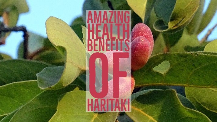 Amazing Health Benefits Haritaki