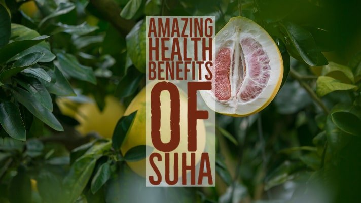 Amazing Health Benefits Suha