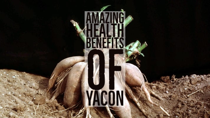 Amazing Health Benefits Yacon