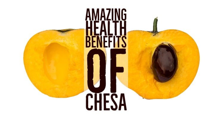 Amazing Health Benefits Chesa