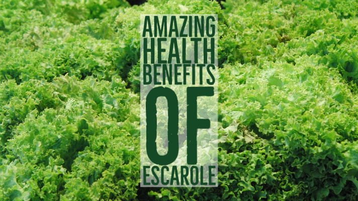 Amazing Health Benefits Escarole