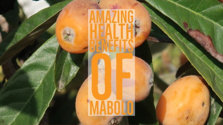 Amazing Health Benefits Mabolo