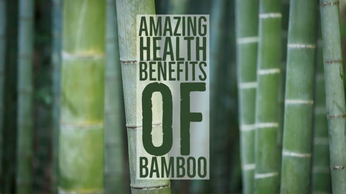 Amazing Health Benefits Of Bamboo
