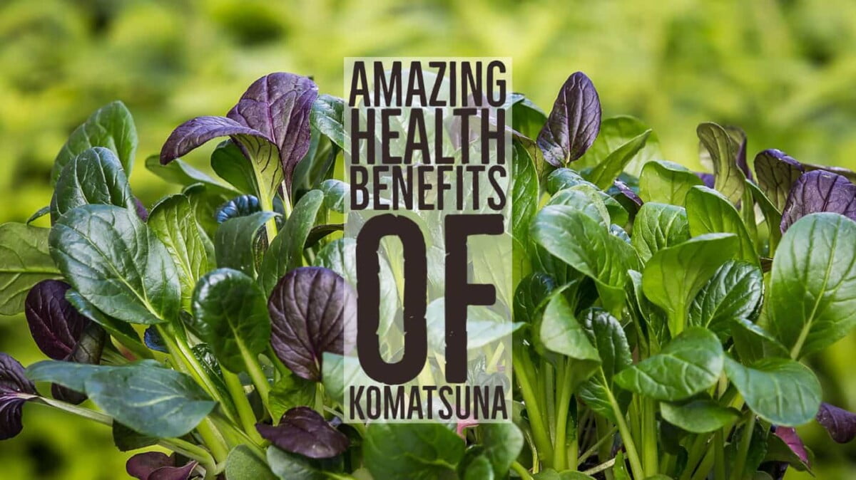 Amazing Health Benefits Komatsuna