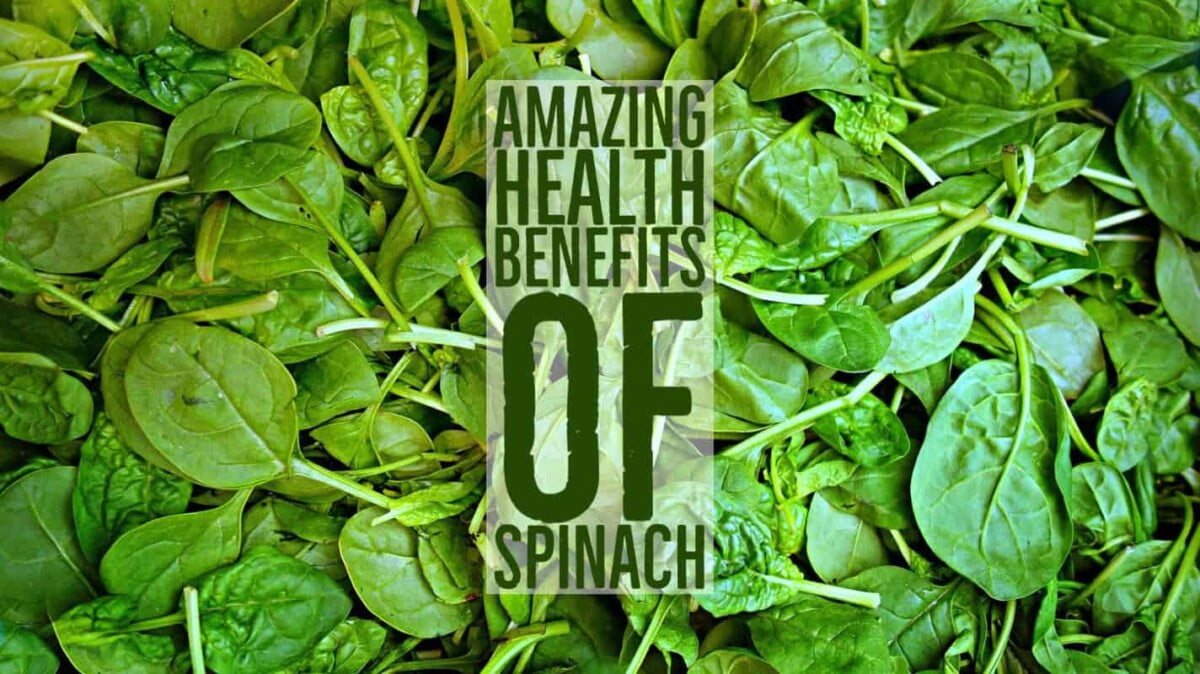 Amazing Health Benefits Spinach
