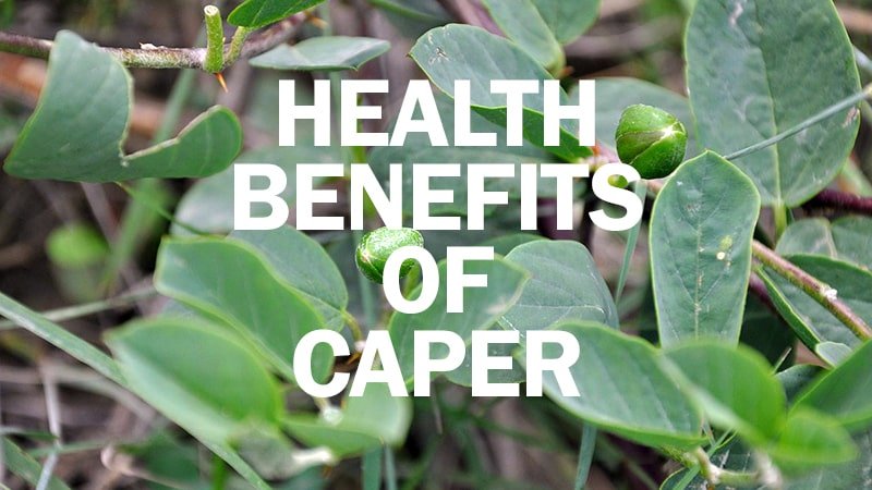 Amazing Health Benefits Caper