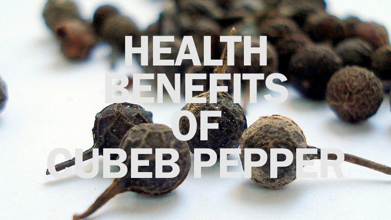 Amazing Health Benefits Cubeb Pepper