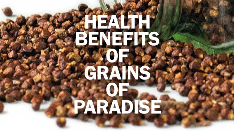Amazing Health Benefits Grains Of Paradise