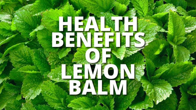 Amazing Health Benefits Lemon Balm