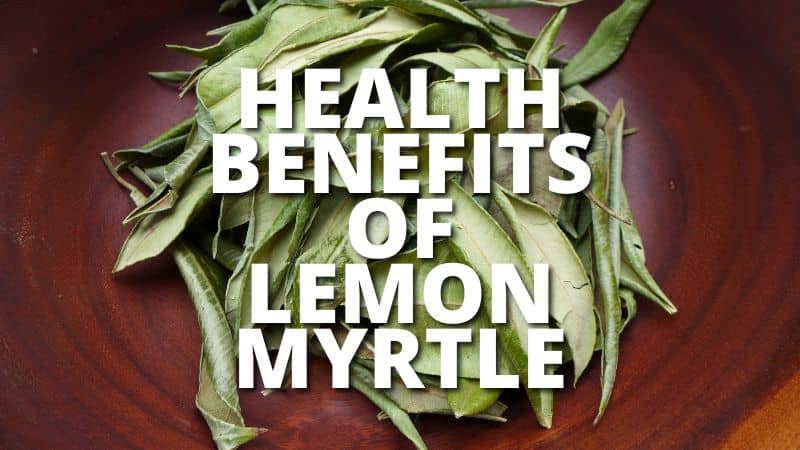Amazing Health Benefits Lemon Myrtle