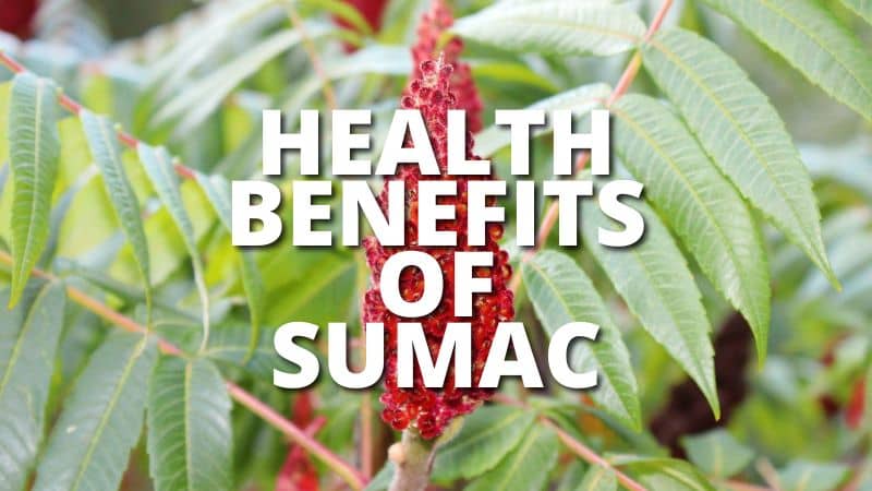 Amazing Health Benefits Sumac