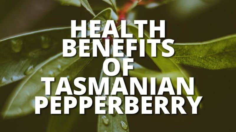 Amazing Health Benefits Tasmanian Pepperberry