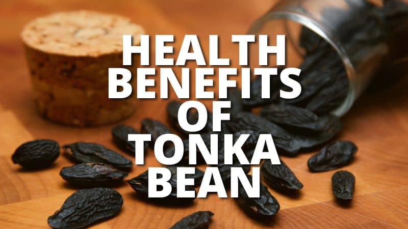 Amazing Health Benefits Tonka Bean
