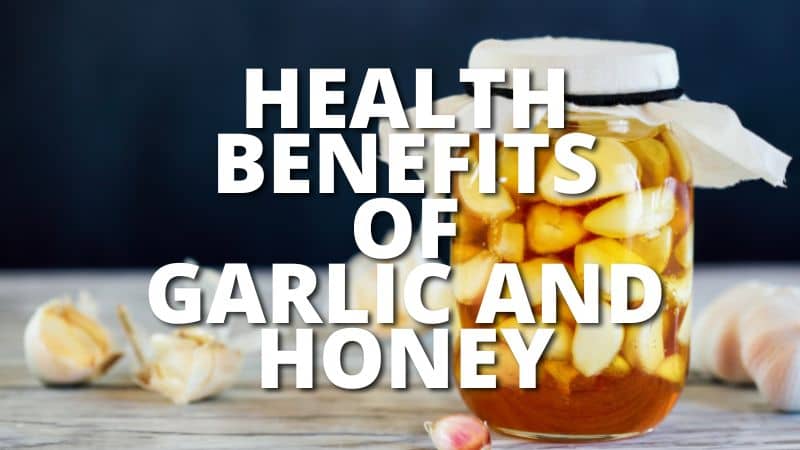 Amazing Health Benefits Garlic And Honey