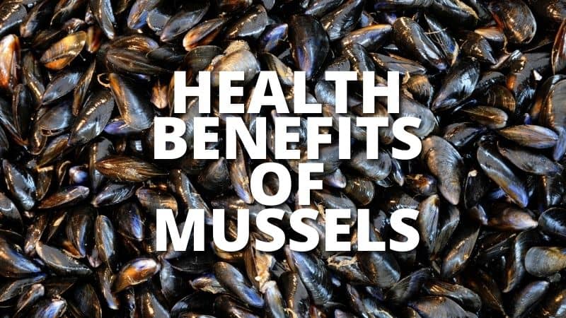 Amazing Health Benefits Mussels