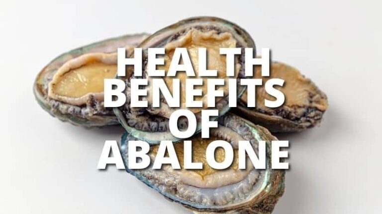 Amazing Health Benefits Abalone