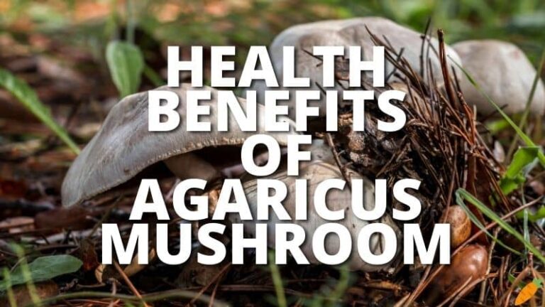 Amazing Health Benefits Agaricus Mushroom