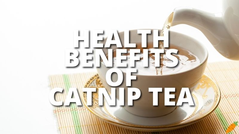 Amazing Health Benefits Catnip Tea