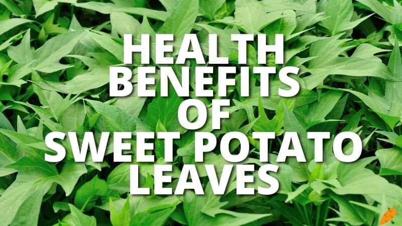 Amazing Health Benefits Sweet Potato Leaves