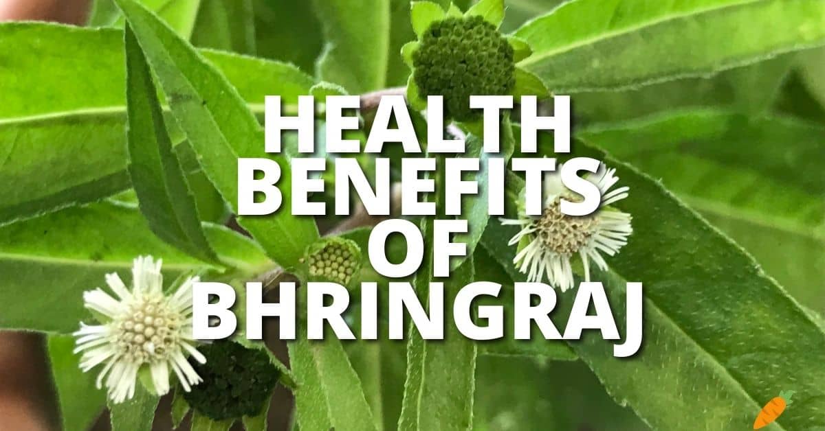 Potential Health Benefits Bhringraj