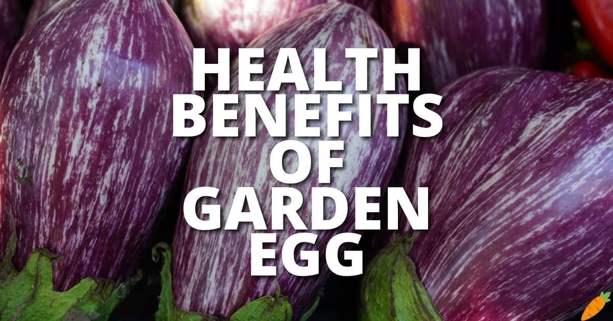 Potential Health Benefits Garden Egg