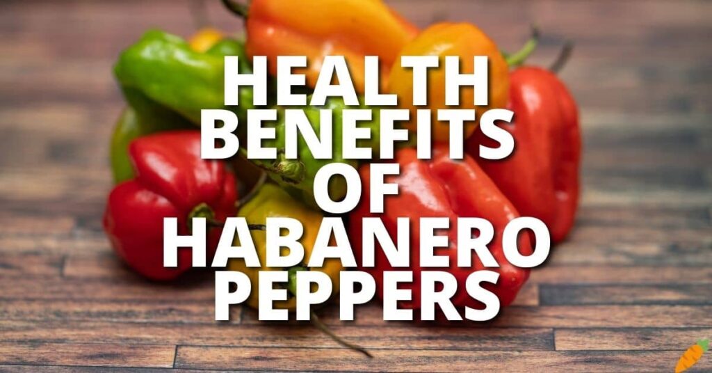 Potential Health Benefits Habanero Peppers
