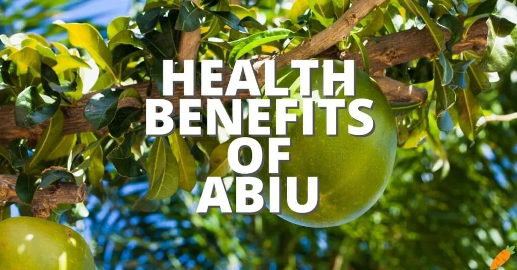 Possible Health Benefits Abiu