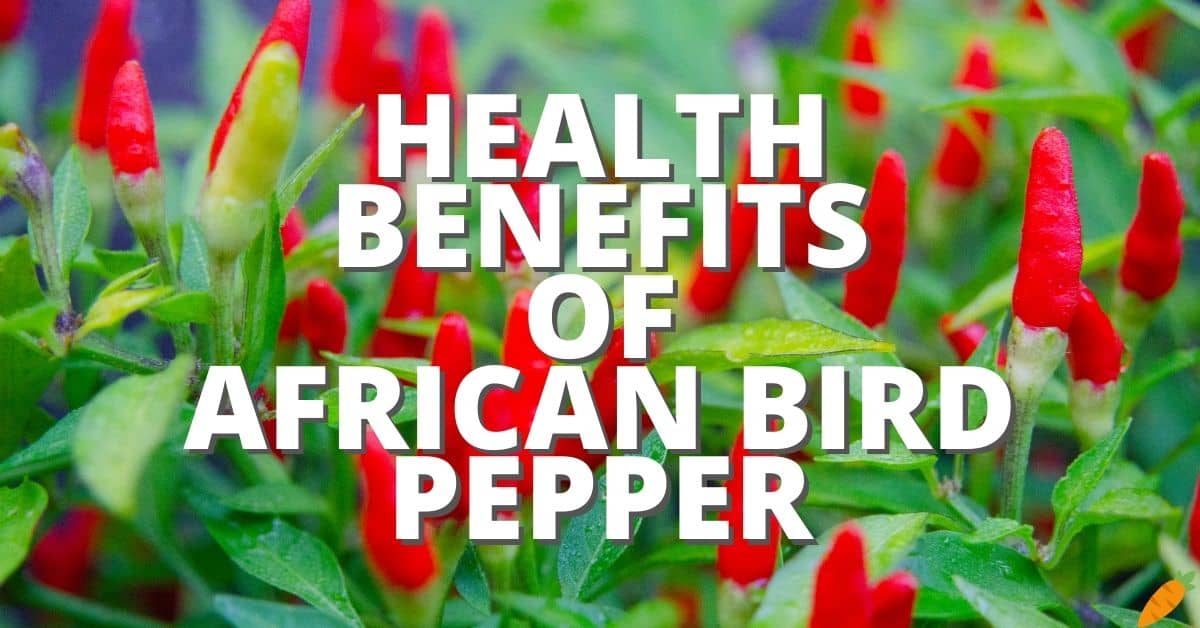 Potential Health Benefits African Bird Pepper