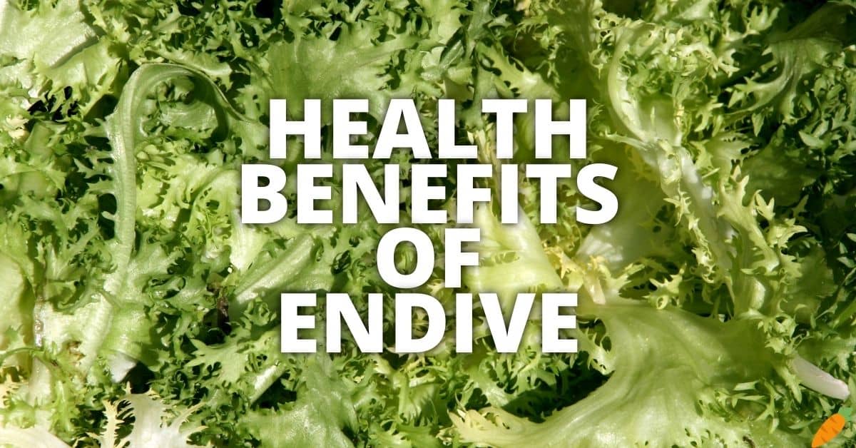 Potential Health Benefits Endive