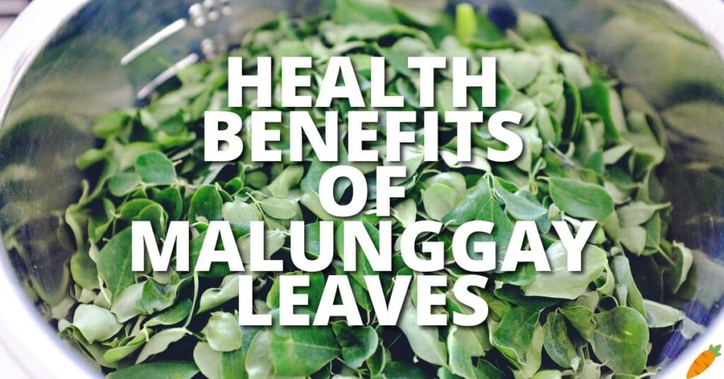 Potential Health Benefits Malunggay Leaves