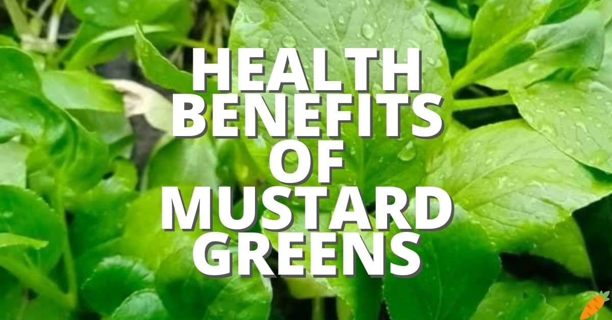 Potential Health Benefits Mustard Greens