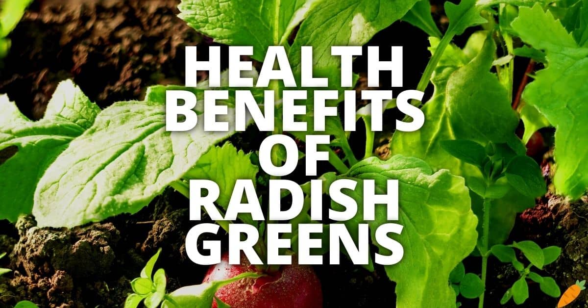Potential Health Benefits Of Radish Greens