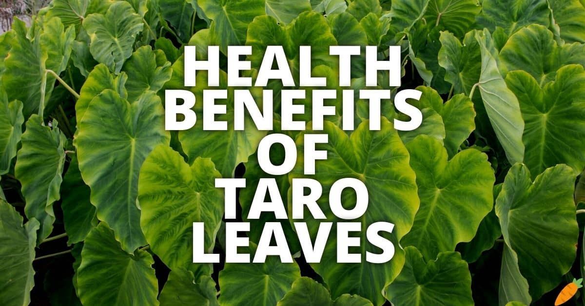 Potential Health Benefits Of Taro Leaves