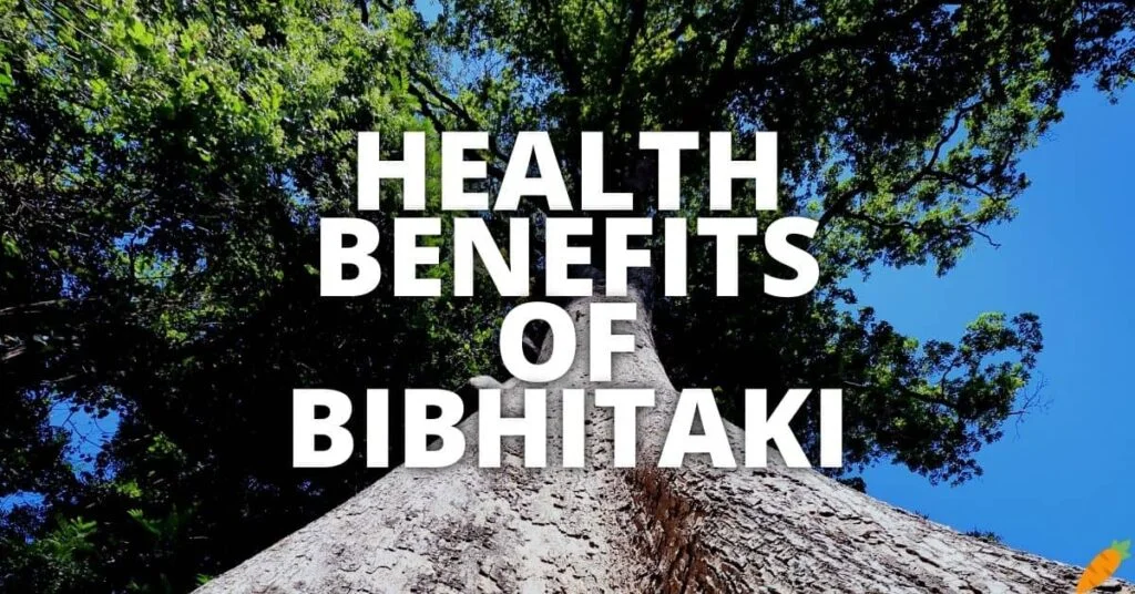 Possible Health Advantages of Bibhitaki