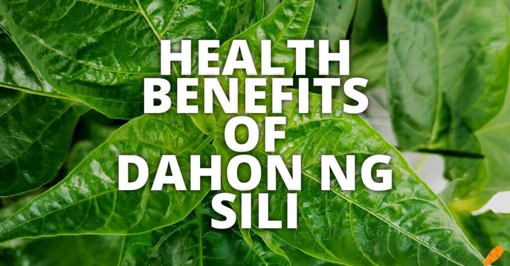 Potential Health Benefits Of Dahon Ng Sili