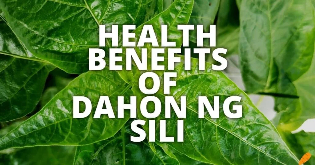 Potential Health Benefits Of Dahon Ng Sili