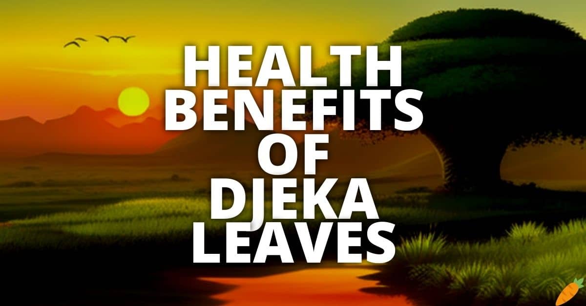 Potential Health Benefits Of Djeka Leaves