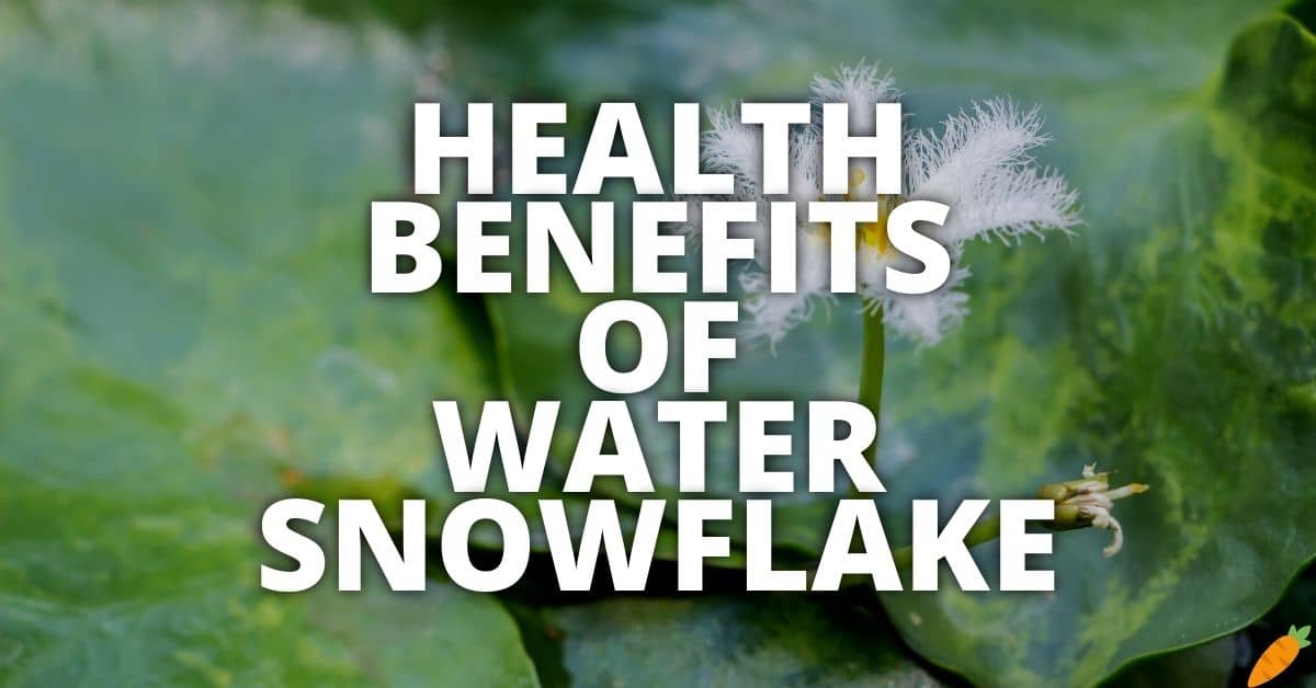 Potential Health Benefits Of Water Snowflake