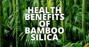 Potential Health Benefits Bamboo Silica