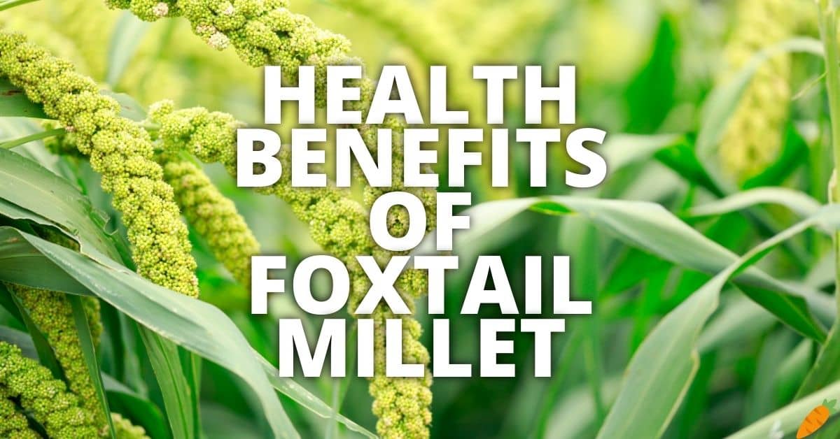 Potential Health Benefits Of Foxtail Millet